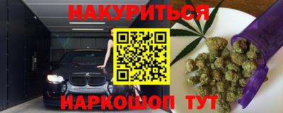 мяу мяу мука Моздок